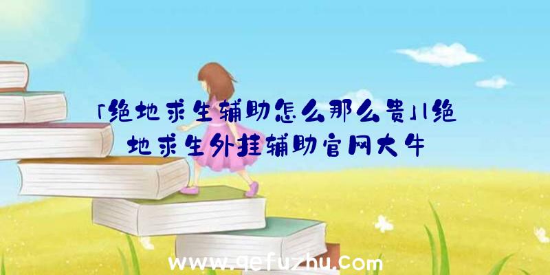 「绝地求生辅助怎么那么贵」|绝地求生外挂辅助官网大牛